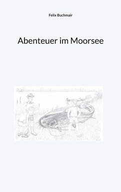 Abenteuer im Moorsee (eBook, ePUB)