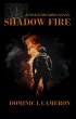 Shadow Fire (Shadowhawk, #2) (eBook,... - Bild 1