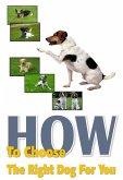 How To Choose The Right Dog For You (eBook, ePUB)