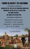From Slavery to Freedom. Illustrated (eBook, ePUB)