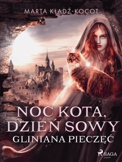 Noc kota, dzień sowy: Gliniana Pieczęć (eBook, ePUB) - Kładź-Kocot, Marta