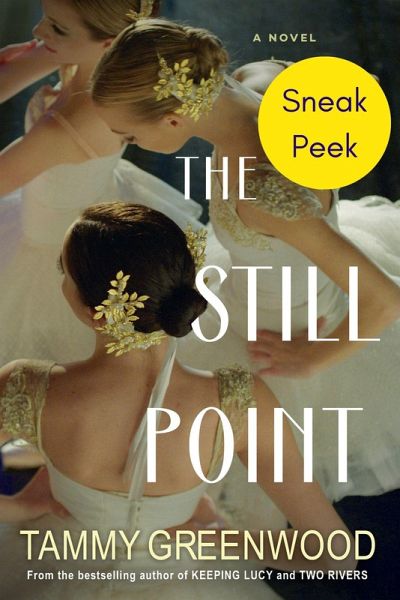 The Still Point: Sneak Peek (eBook, ePUB)