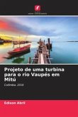 Projeto de uma turbina para o rio Vaupés em Mitú