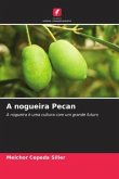 A nogueira Pecan