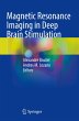 Magnetic Resonance Imaging in Deep... - Bild 1