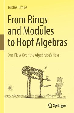 From Rings and Modules to Hopf Algebras - Broué, Michel