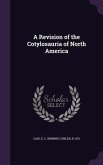 A Revision of the Cotylosauria of North America