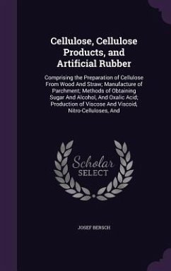 Cellulose, Cellulose Products, and Artificial Rubber - Bersch, Josef