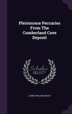 Pleistocene Peccaries from the Cumberland Cave Deposit - Gidley, James William