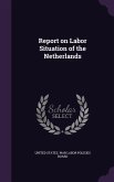 Report on Labor Situation of the Netherlands