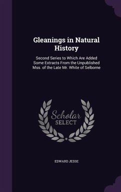 Gleanings in Natural History - Jesse, Edward