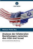 Analyse der bilateralen Beziehungen zwischen den USA und Israel
