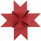 Fröbelsterne XL, rot FSC MIX