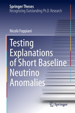 Testing Explanations of Short Baseline Neutrino Anomalies (eBook, PDF) - Foppiani, Nicolò