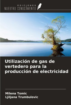 Cover Utilización de gas de vertedero para la producción de electricidad