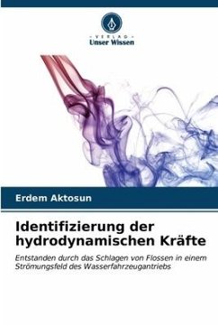 Identifizierung der hydrodynamischen Kräfte - Aktosun, Erdem