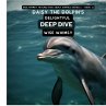 Daisy The Dolpin's Delightful Deep Dive - Bild 1