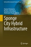 Sponge City Hybrid Infrastructure (eBook, PDF)