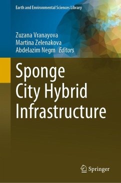 Sponge City Hybrid Infrastructure (eBook, PDF)