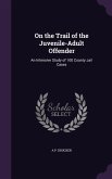 On the Trail of the Juvenile-Adult Offender: An Intensive Study of 100 County Jail Cases