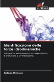 Identificazione delle forze idrodinamiche