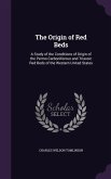 The Origin of Red Beds
