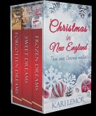 Christmas in New England (Storms of New England) (eBook, ePUB)