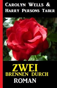 Cover Zwei brennen durch: Roman (eBook, ePUB)