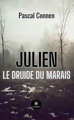Julien le druide du marais (eBook, ePUB) - Connen, Pascal