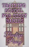Training School for Sissy Babies (eBook, ePUB)