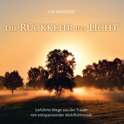 Die Rückkehr ins Licht (MP3-Download) - Mauerer, Ilse