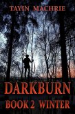 Darkburn Book 2: Winter (eBook, ePUB)