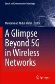 A Glimpse Beyond 5G in Wireless Networks