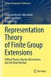 Representation Theory of Finite Group... - Bild 1