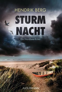 Sturmnacht / Theo Krumme Bd.10 (eBook, ePUB) - Berg, Hendrik