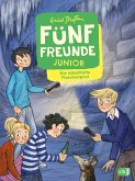 Die rätselhafte Flaschenpost / Fünf Freunde Junior Bd.11 (eBook, ePUB)
