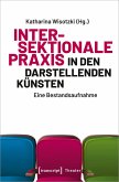 Intersektionale Praxis in den Darstellenden Künsten (eBook, PDF)
