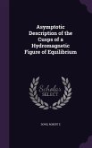 Asymptotic Description of the Cusps of a Hydromagnetic Figure of Equilibrium