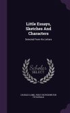 Little Essays, Sketches and Characters: Selected from His Letters