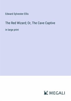 The Red Wizard; Or, The Cave Captive - Ellis, Edward Sylvester