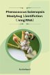 Phenacoccus Solenopsis Mealybug... - Bild 1