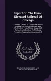 Report On The Union Elevated Railroad Of Chicago