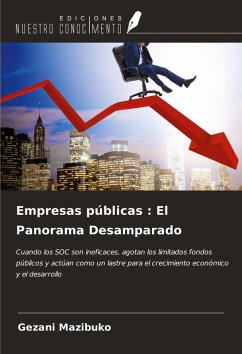Cover Empresas públicas : El Panorama Desamparado
