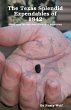 The Texas Splendid Expendables of 1842 - Bild 1