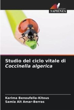 Studio del ciclo vitale di Coccinella algerica - Benoufella-Kitous, Karima;AIT AMAR-BERRAS, Samia