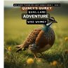 Quincy's Quirky Quail-land Adventure - Bild 1