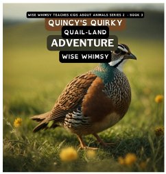 Quincy's Quirky Quail-land Adventure - Whimsy, Wise