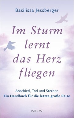 Im Sturm lernt das Herz fliegen (eBook, ePUB) - Jessberger, Basilissa