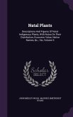 Natal Plants: Descriptions and Figures of Natal Indigenous Plants, with Notes on Their Distribution, Economic Value, Native Names, &