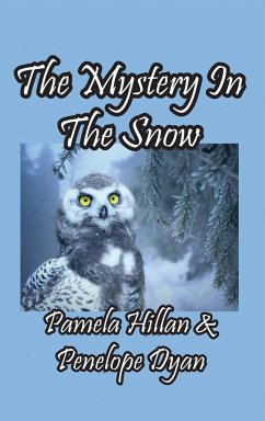 The Mystery In The Snow - Hillan, Pamela; Dyan